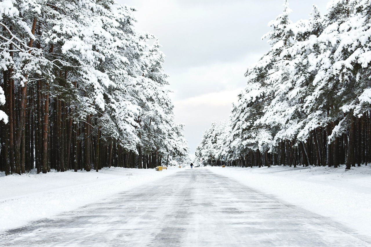 探秘雪域圣境，醉美林芝，一条穿越四季的西藏旅行线路深度解析