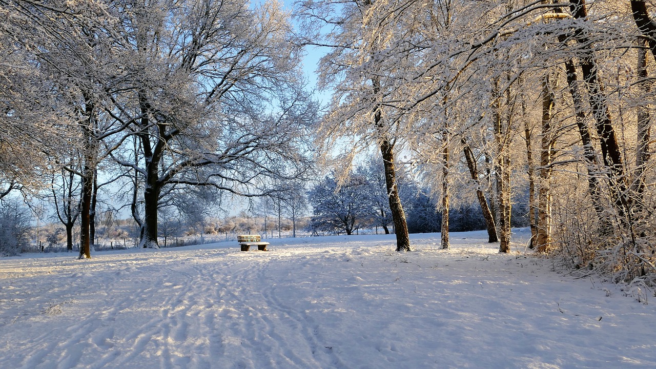 蜀中仙境，雪域奇缘——探访成都西岭雪山的冬日诗篇